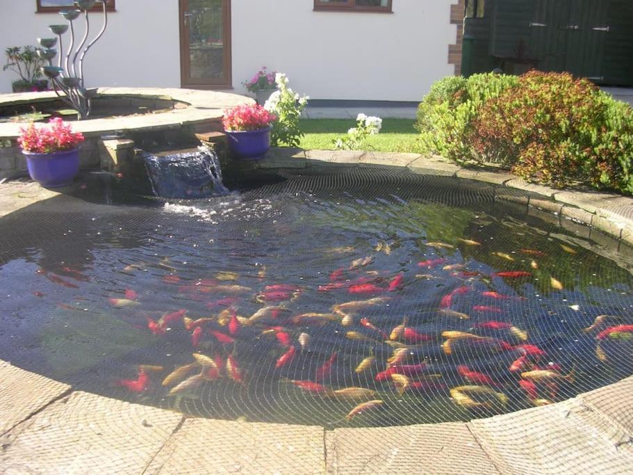 Coastal Garden Lodge Preesall 외부 사진